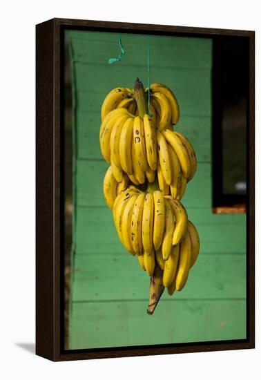 Bananas at a Fruit Stand in Dominican Republic-Paul Souders-Framed Premier Image Canvas