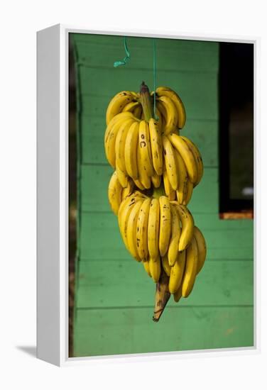 Bananas at a Fruit Stand in Dominican Republic-Paul Souders-Framed Premier Image Canvas