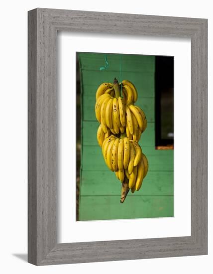 Bananas at a Fruit Stand in Dominican Republic-Paul Souders-Framed Photographic Print