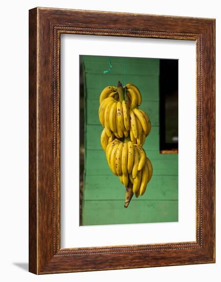 Bananas at a Fruit Stand in Dominican Republic-Paul Souders-Framed Photographic Print