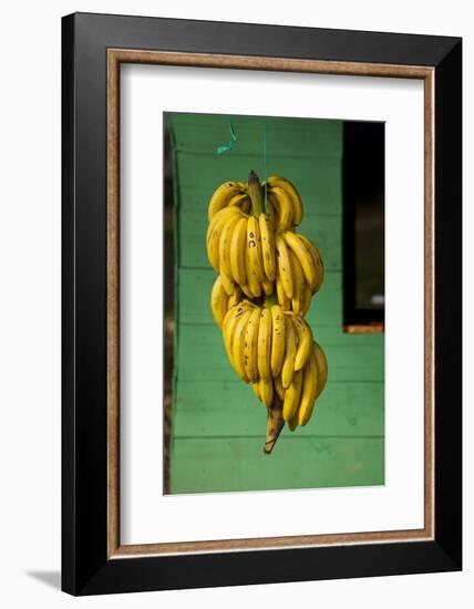 Bananas at a Fruit Stand in Dominican Republic-Paul Souders-Framed Photographic Print