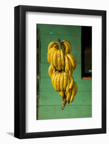 Bananas at a Fruit Stand in Dominican Republic-Paul Souders-Framed Photographic Print