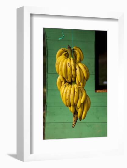 Bananas at a Fruit Stand in Dominican Republic-Paul Souders-Framed Photographic Print