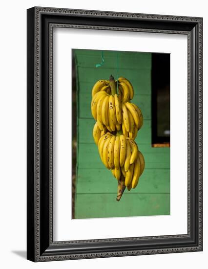 Bananas at a Fruit Stand in Dominican Republic-Paul Souders-Framed Photographic Print