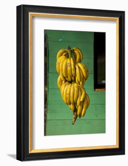 Bananas at a Fruit Stand in Dominican Republic-Paul Souders-Framed Photographic Print