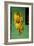 Bananas at a Fruit Stand in Dominican Republic-Paul Souders-Framed Photographic Print