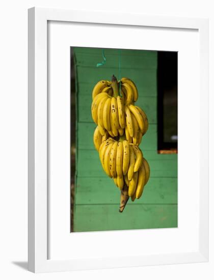 Bananas at a Fruit Stand in Dominican Republic-Paul Souders-Framed Photographic Print