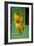 Bananas at a Fruit Stand in Dominican Republic-Paul Souders-Framed Photographic Print