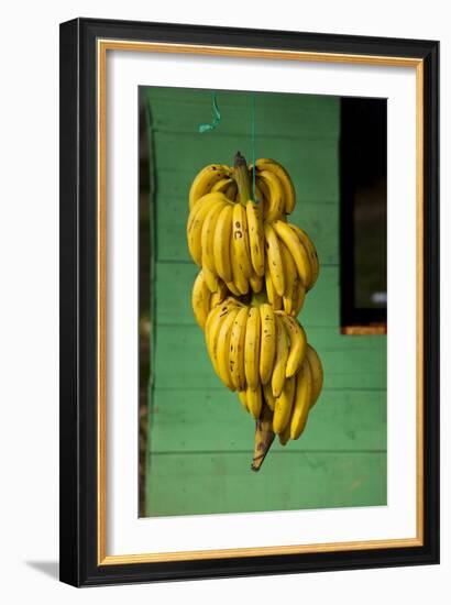 Bananas at a Fruit Stand in Dominican Republic-Paul Souders-Framed Photographic Print