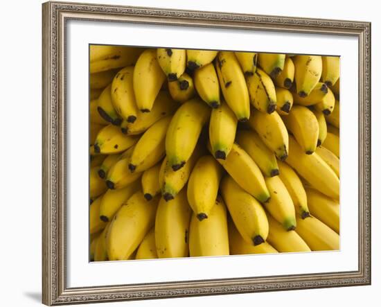 Bananas at the Saturday Market, San Ignacio, Belize-William Sutton-Framed Photographic Print