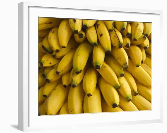 Bananas at the Saturday Market, San Ignacio, Belize-William Sutton-Framed Photographic Print