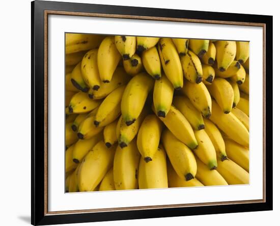 Bananas at the Saturday Market, San Ignacio, Belize-William Sutton-Framed Photographic Print