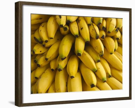 Bananas at the Saturday Market, San Ignacio, Belize-William Sutton-Framed Photographic Print