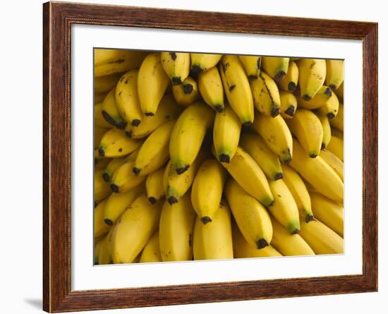 Bananas at the Saturday Market, San Ignacio, Belize-William Sutton-Framed Photographic Print