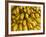 Bananas at the Saturday Market, San Ignacio, Belize-William Sutton-Framed Photographic Print