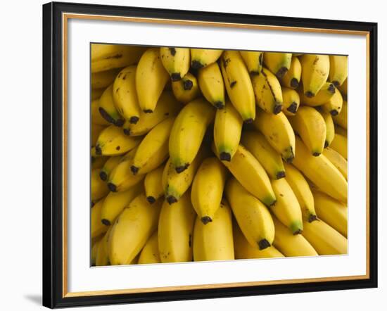 Bananas at the Saturday Market, San Ignacio, Belize-William Sutton-Framed Photographic Print