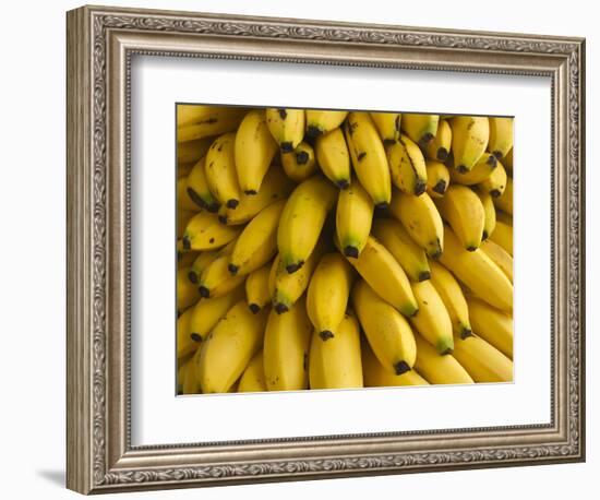 Bananas at the Saturday Market, San Ignacio, Belize-William Sutton-Framed Photographic Print
