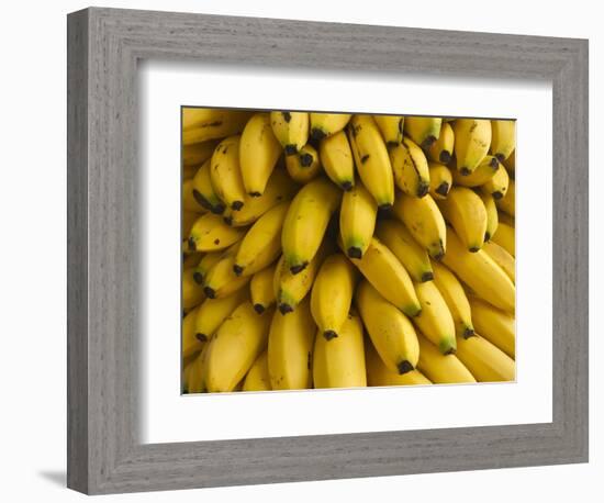 Bananas at the Saturday Market, San Ignacio, Belize-William Sutton-Framed Photographic Print