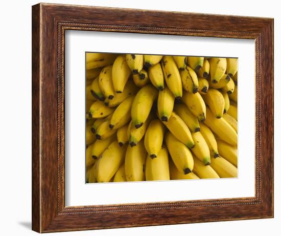 Bananas at the Saturday Market, San Ignacio, Belize-William Sutton-Framed Photographic Print