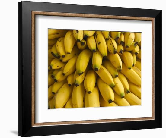 Bananas at the Saturday Market, San Ignacio, Belize-William Sutton-Framed Photographic Print