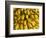 Bananas at the Saturday Market, San Ignacio, Belize-William Sutton-Framed Photographic Print