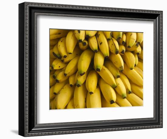 Bananas at the Saturday Market, San Ignacio, Belize-William Sutton-Framed Photographic Print