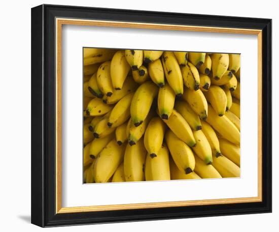 Bananas at the Saturday Market, San Ignacio, Belize-William Sutton-Framed Photographic Print