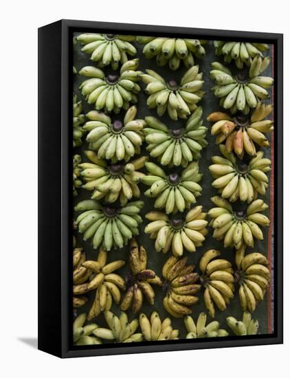 Bananas for Sale on a Market Stall, Miri, Sarawakn Borneo-Annie Owen-Framed Premier Image Canvas