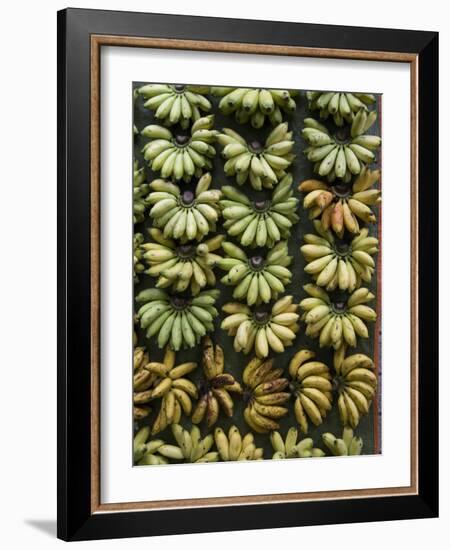 Bananas for Sale on a Market Stall, Miri, Sarawakn Borneo-Annie Owen-Framed Photographic Print