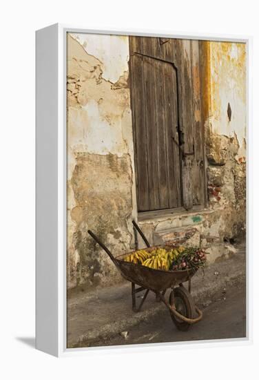 Bananas in Wheelbarrow, Havana, Cuba-Adam Jones-Framed Premier Image Canvas