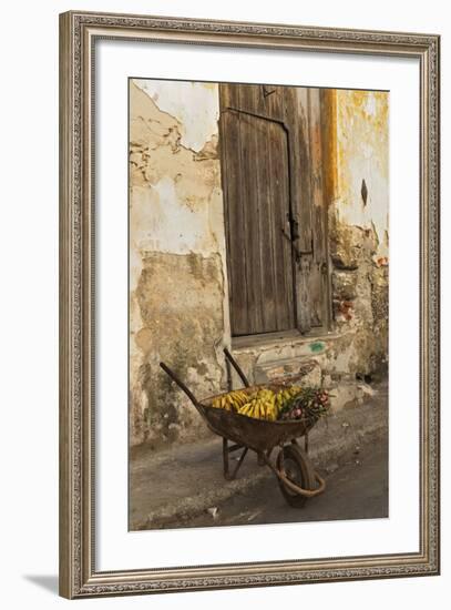 Bananas in Wheelbarrow, Havana, Cuba-Adam Jones-Framed Photographic Print