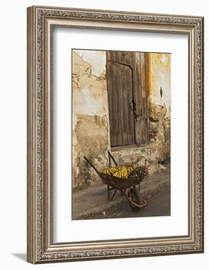 Bananas in Wheelbarrow, Havana, Cuba-Adam Jones-Framed Photographic Print