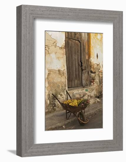 Bananas in Wheelbarrow, Havana, Cuba-Adam Jones-Framed Photographic Print