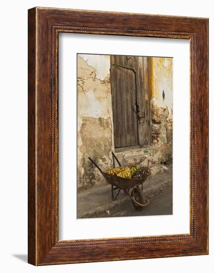 Bananas in Wheelbarrow, Havana, Cuba-Adam Jones-Framed Photographic Print