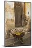 Bananas in Wheelbarrow, Havana, Cuba-Adam Jones-Mounted Photographic Print