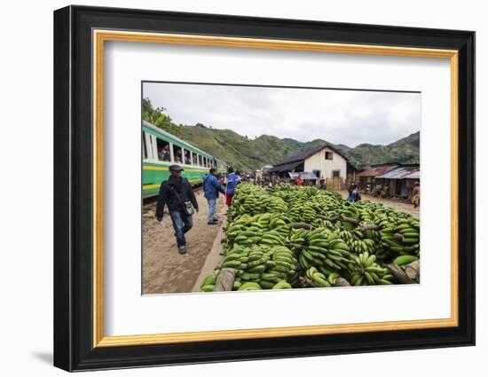 Bananas waiting to be transported, Fianarantsoa to Manakara FCE train, easterrn area, Madagascar, A-Christian Kober-Framed Photographic Print