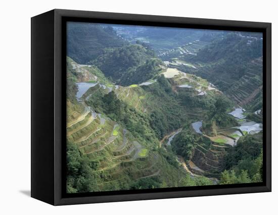 Banaue Terraced Rice Fields, UNESCO World Heritage Site, Island of Luzon, Philippines-Bruno Barbier-Framed Premier Image Canvas