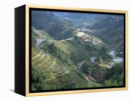 Banaue Terraced Rice Fields, UNESCO World Heritage Site, Island of Luzon, Philippines-Bruno Barbier-Framed Premier Image Canvas