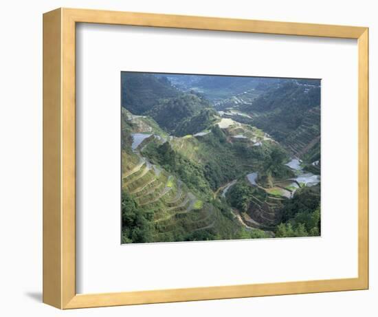 Banaue Terraced Rice Fields, UNESCO World Heritage Site, Island of Luzon, Philippines-Bruno Barbier-Framed Photographic Print