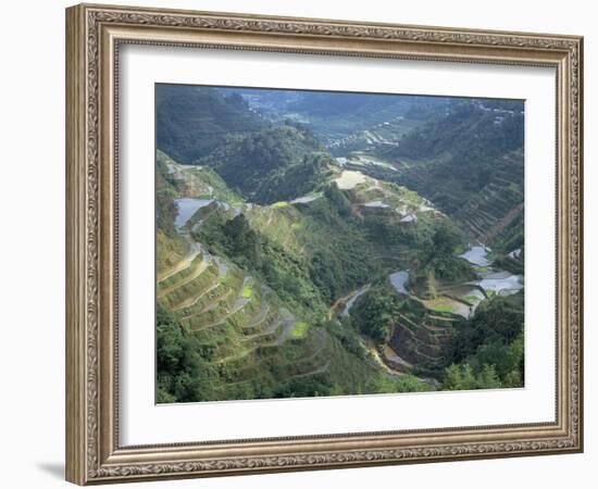 Banaue Terraced Rice Fields, UNESCO World Heritage Site, Island of Luzon, Philippines-Bruno Barbier-Framed Photographic Print