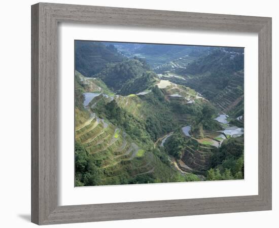 Banaue Terraced Rice Fields, UNESCO World Heritage Site, Island of Luzon, Philippines-Bruno Barbier-Framed Photographic Print