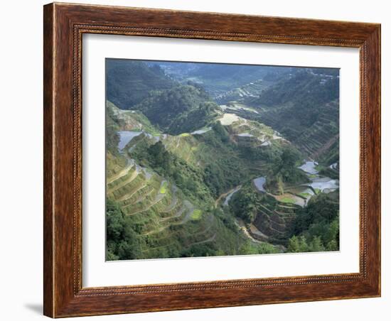 Banaue Terraced Rice Fields, UNESCO World Heritage Site, Island of Luzon, Philippines-Bruno Barbier-Framed Photographic Print