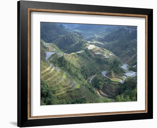 Banaue Terraced Rice Fields, UNESCO World Heritage Site, Island of Luzon, Philippines-Bruno Barbier-Framed Photographic Print