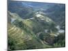 Banaue Terraced Rice Fields, UNESCO World Heritage Site, Island of Luzon, Philippines-Bruno Barbier-Mounted Photographic Print