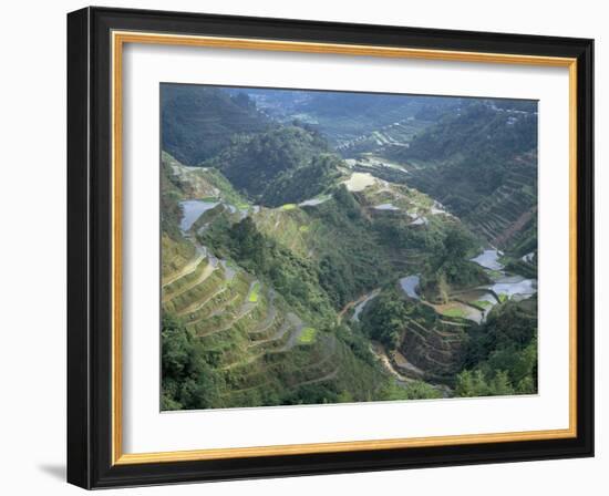 Banaue Terraced Rice Fields, UNESCO World Heritage Site, Island of Luzon, Philippines-Bruno Barbier-Framed Photographic Print