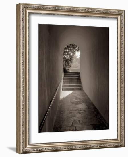 Banc de Jardin #78-Alan Blaustein-Framed Photographic Print