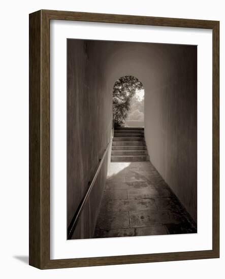 Banc de Jardin #78-Alan Blaustein-Framed Photographic Print