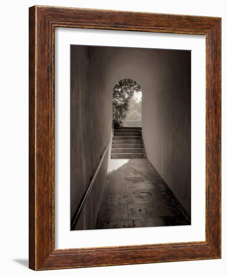 Banc de Jardin #78-Alan Blaustein-Framed Photographic Print