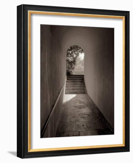 Banc de Jardin #78-Alan Blaustein-Framed Photographic Print