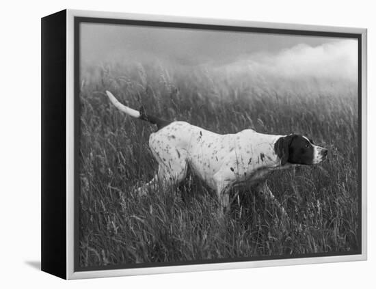 Banchory Rita Owned by Lorna Countess Howe-Thomas Fall-Framed Premier Image Canvas